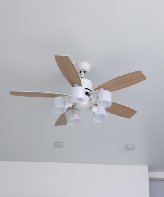 Ceiling Fan Installation